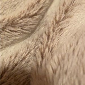 Meet your Posher, Lily